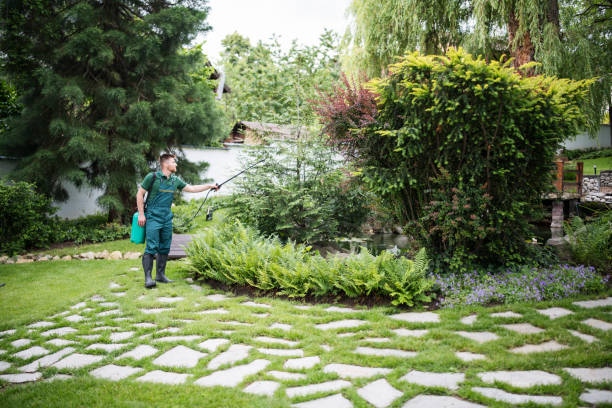 Best Local Pest Control Services  in New River, AZ