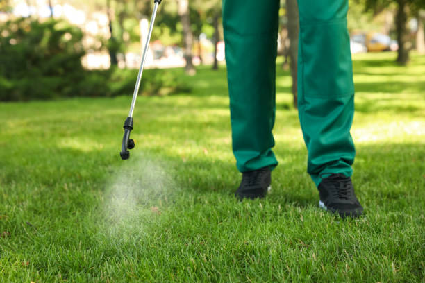 Best Pest Removal Services  in New River, AZ