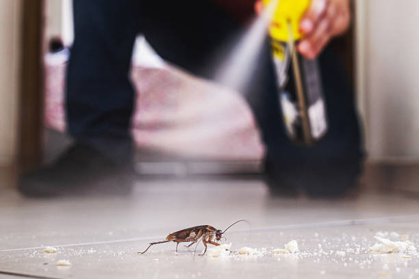 Pest Control Cost in New River, AZ