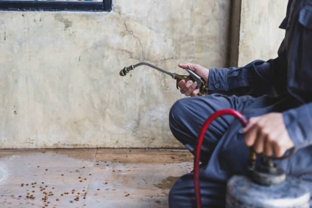 Best Exterminator Services  in New River, AZ
